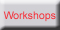 Workshops and Lectures